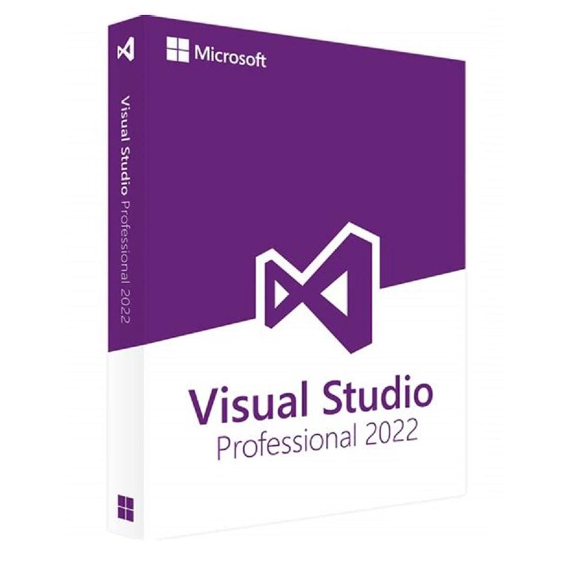 Visual Studio 2022 professional